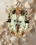 Load image into Gallery viewer, Cookies ’N Cream Cookie Pack