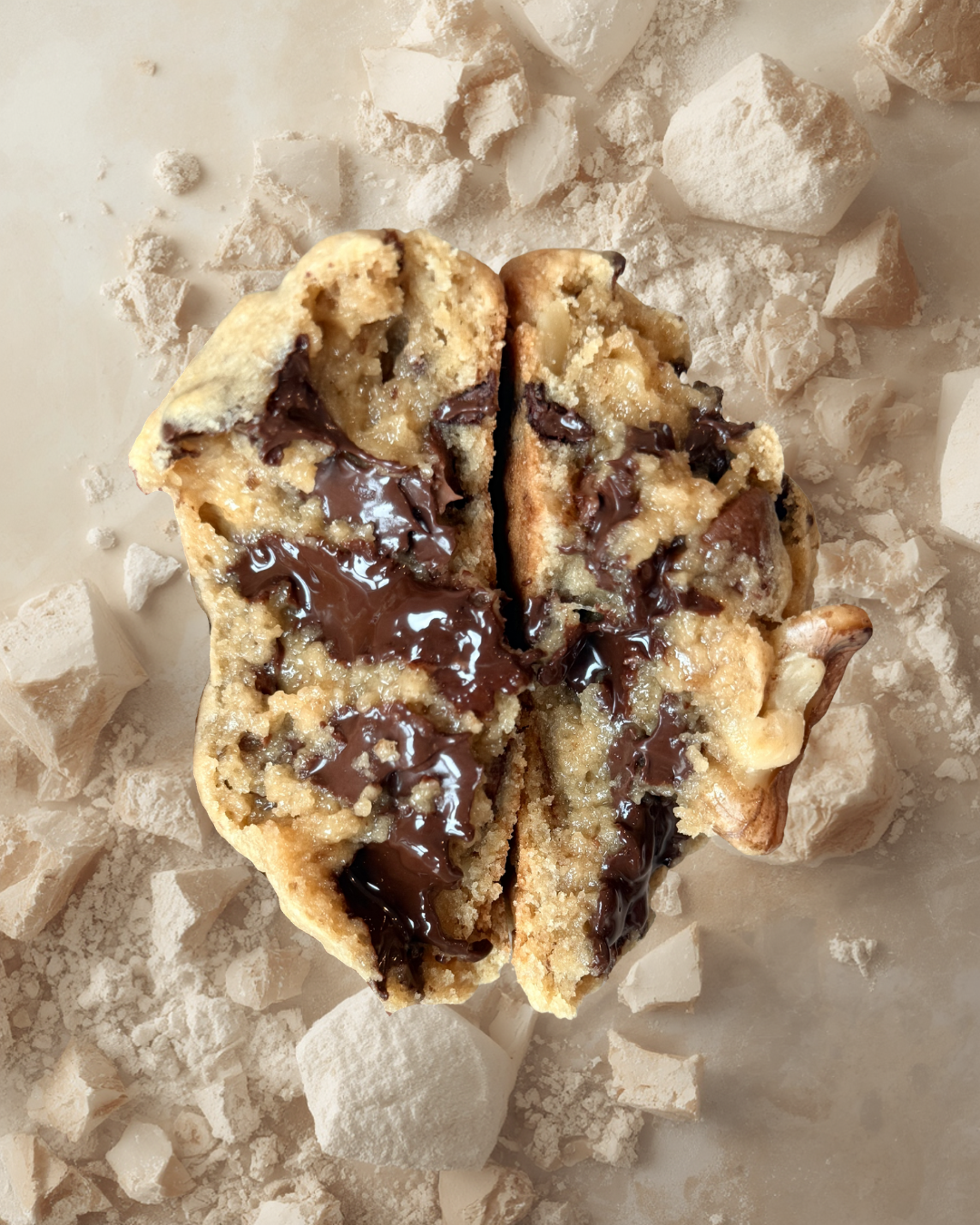 Walnut Chocolate Chunk Cookie